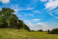 First Christmas Free Stock Photo - Public Domain Pictures